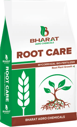 Root Care
